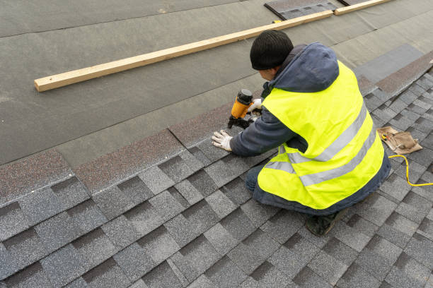 Best Roof Maintenance and Cleaning  in La Marque, TX